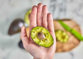 Ky është superushqimi për trurin tuaj