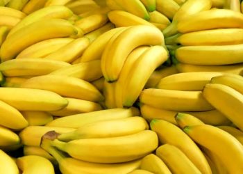 Ja përfitimet që banania i jep organizmit