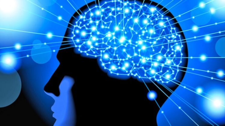 Çfarë duhet të pini për kujtesë dhe mendje të fortë