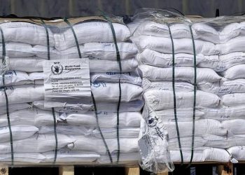 Rreth 130 kamionë me ndihma humanitare hyjnë në Gaza