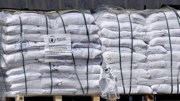 Rreth 130 kamionë me ndihma humanitare hyjnë në Gaza