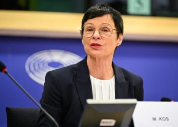 Kos: Kosova të formoj sa më shpejt institucionet