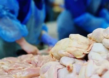 AUV sqaron rastin me mishin e kontaminuar nga Rumania: Ngarkesa u kthye