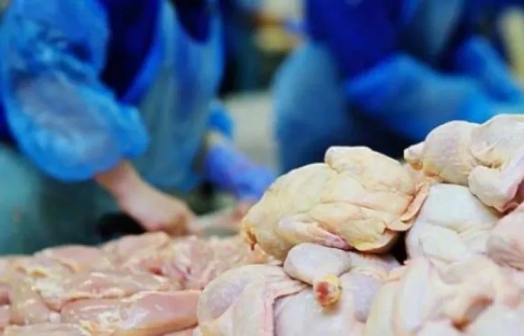 AUV sqaron rastin me mishin e kontaminuar nga Rumania: Ngarkesa u kthye