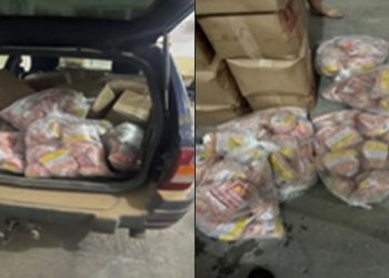 Parandalohet kontrabanda me mish, po transportohej në kushte të rrezikshme