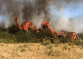 Zj*arret në Shqipëri, dëmi ekonomik në pyje mbi 16 milionë euro