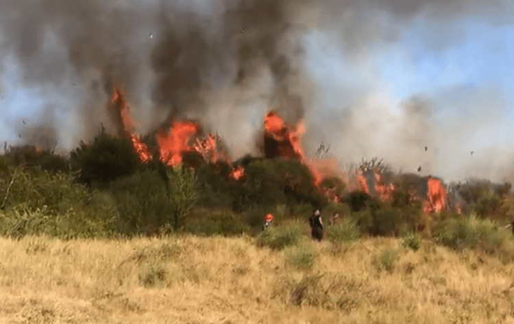 Zj*arret në Shqipëri, dëmi ekonomik në pyje mbi 16 milionë euro