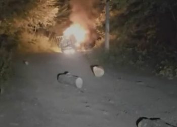 Disa persona në Malet e Sharrit i ikin policisë, kishin një xhip të mbushur me drunj të prera ilegalisht