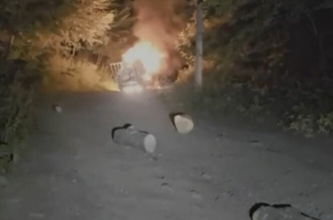 Disa persona në Malet e Sharrit i ikin policisë, kishin një xhip të mbushur me drunj të prera ilegalisht