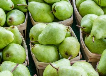 Gjashtë lloje frutash që duhet t’i hani për shëndet më të mirë