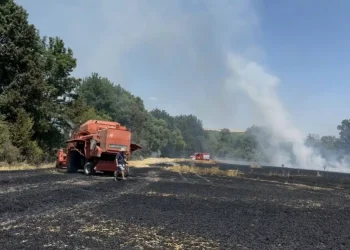 Zjarrfikësit shuajnë zjarrin në fushat e grurit në Ramoc të Gjakovës