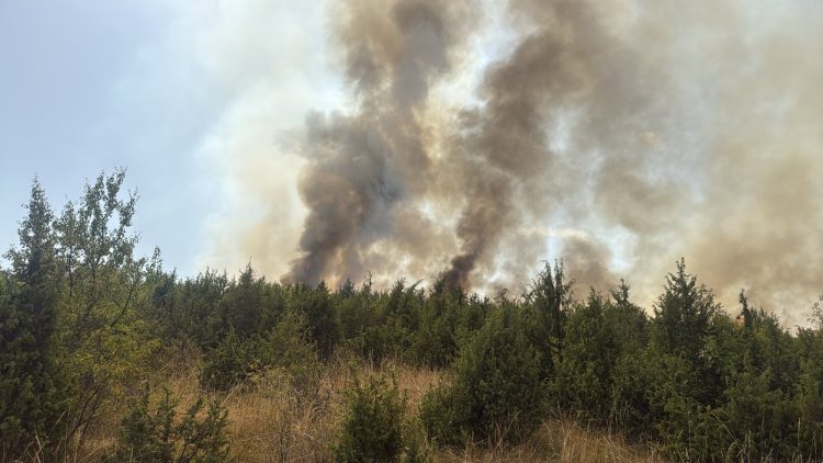 Vatra të reja zj*arri në Podujevë, angazhohet edhe FSK-ja