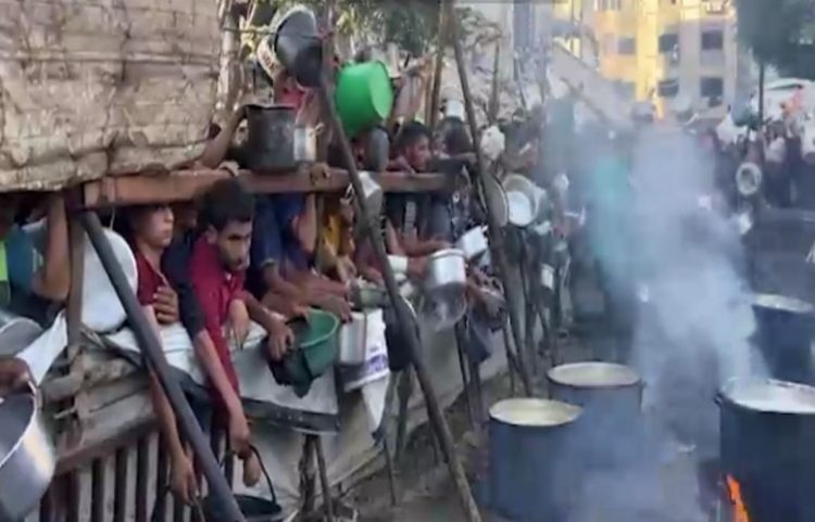 24 orët e fundit në Ga*zë, mbi 10 persona të vd*ekur nga uria, 34 të vr*arë