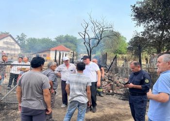 Fermerit në Viti i di*gjet stalla me 42 dele