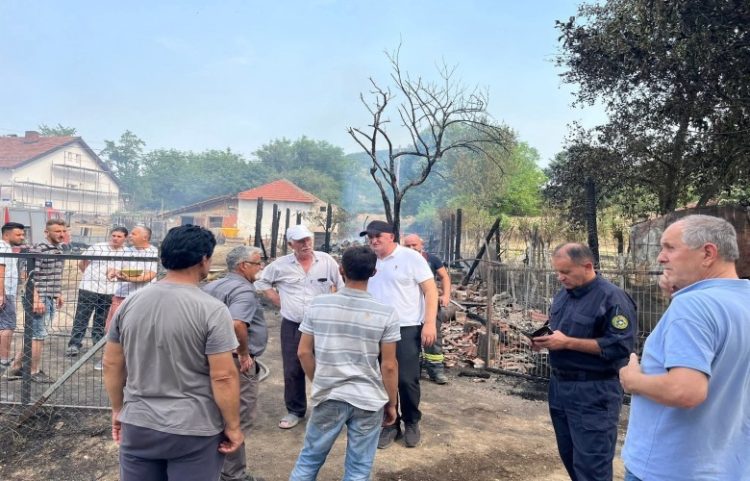 Fermerit në Viti i di*gjet stalla me 42 dele