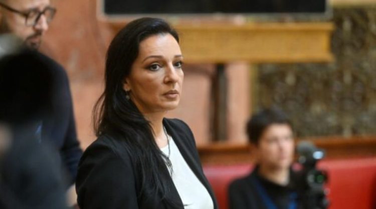 Tepiq: Krerët e shtetit serb janë pjesë e një karteli narkotik – Franca ka dorëzuar provat, prokuroria po hesht