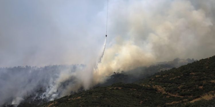 Turqia dërgon avionë zjarrfikës në Siri ndërsa përballet me zjarre në territorin e saj