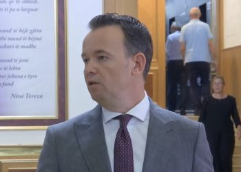 Peci vlerëson Berishën, thotë se si ai duhet të sillen shumica e deputetëve