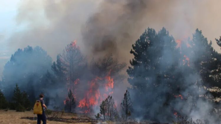 Mbi 2 mijë e 500 raste të zjarreve nga janari, a ka Kosova kapacitet për shuarjen e tyre?