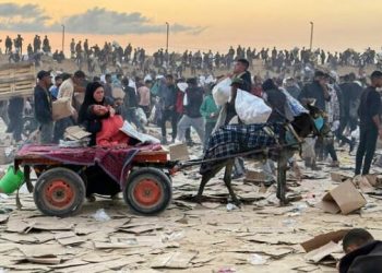 OKB njofton për 798 të vrarë në Gaza që nga maji, gjatë kërkimit të ndihmave