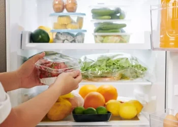 Ruajtja e ushqimit gjatë verës, gjithçka që duhet të dimë për kujdesin e produkteve që konsumojmë