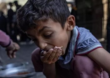 OKB: Një në tre persona në Gaza kalon ditë pa ushqim