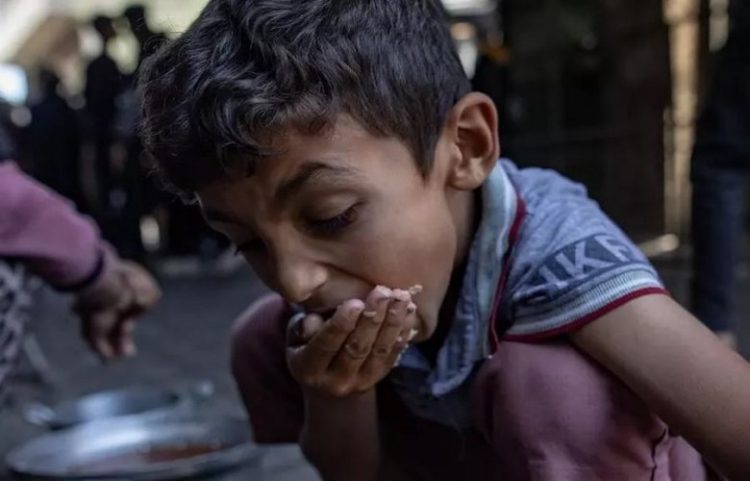 OKB: Një në tre persona në Gaza kalon ditë pa ushqim