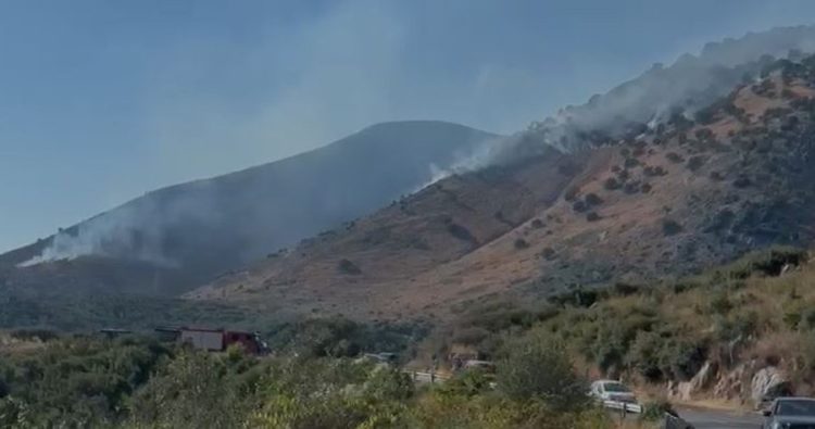 Stabilizohet situata nga zjarret në Vlorë: Të gjitha vatrat nën kontroll