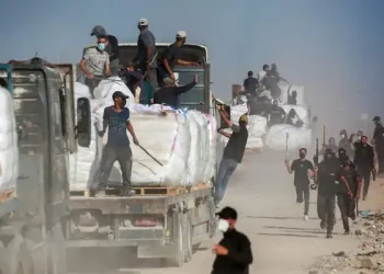 Bandat vjedhin ndihmat në Gaza, shumë pak shpërndahen tek palestinezët (Video)
