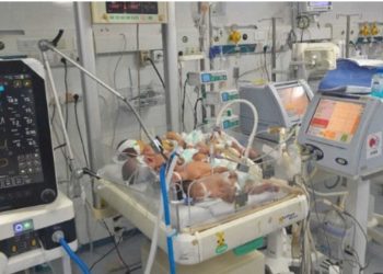 Ga*za në buzë të katastrofës – foshnje të shumta në një inkubator