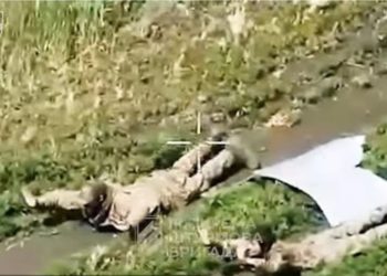 Asnjë e shtënë ar*me, asnjë i plagosur, rusët i dorëzohen robotëve dhe dronëve ukrainas