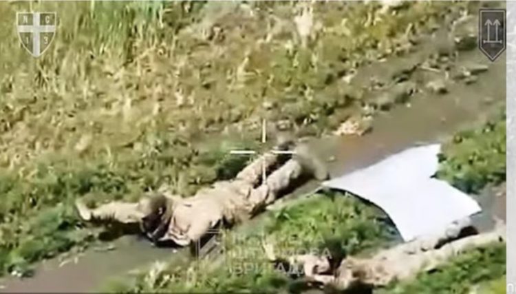 Asnjë e shtënë ar*me, asnjë i plagosur, rusët i dorëzohen robotëve dhe dronëve ukrainas