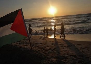 Finlanda, Partia Social Demokrate (SDP) ka bërë thirrje të menjëhershme për njohjen e shtetit palestinez