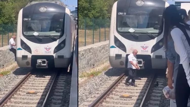 Vëmendja e shoferit e shpëtoi kotelen!