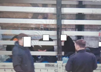 Zbulohen 5 emigrantë të paligjshëm në një rimorkio kamioni në Ferizaj
