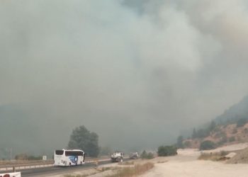 Regjistrohet temperatura më e lartë ndonjëherë në Turqi, 55 gradë Celsius