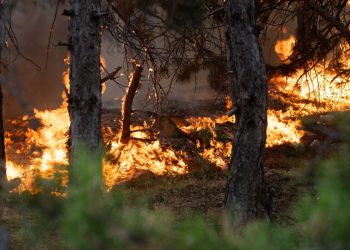 Zj*arri i madh në Corroticë të Preshevës, Sinani: Flakët janë përhapur me shpejtësi
