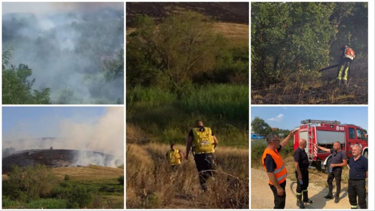 Lladrovci: Zj*arri në Gjergjicë përbën rrezik, në Golesh është me intensitet më të ulët