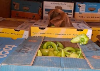 Tentim ko*ntrabande në Kamenicë, sekuestrohen 1 mijë kilogramë speca