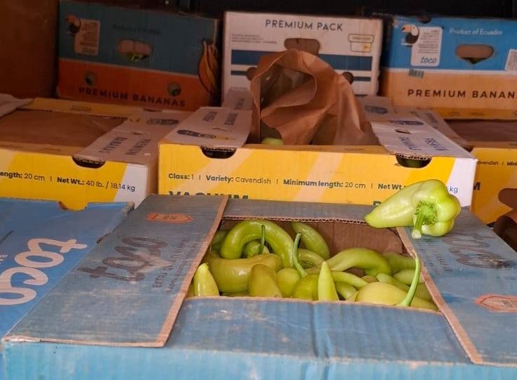 Tentim ko*ntrabande në Kamenicë, sekuestrohen 1 mijë kilogramë speca