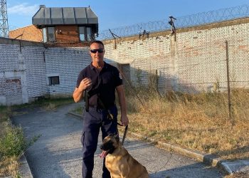 Aksion bastisjeje në disa pavijone të Dubravës – të angazhuar 80 oficerë dhe Njësia K9