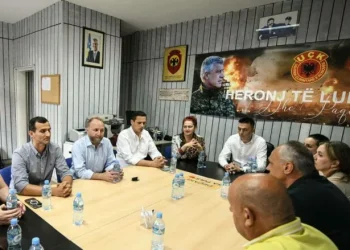 Nuk u certifikua për zgjedhjet lokale, Supremja ia hedh poshtë ankesën kandidatit të PDK-së për Deçanin