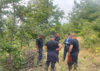 78 vatra zj*arri sot në Kosovë, situata më e rënduar paraqitet në Vushtrri