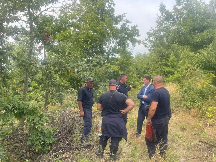 78 vatra zj*arri sot në Kosovë, situata më e rënduar paraqitet në Vushtrri