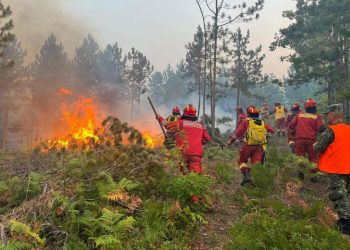 Situata nga zjarret pjesërisht stabile në Shqipëri, 23 vatra ende aktive