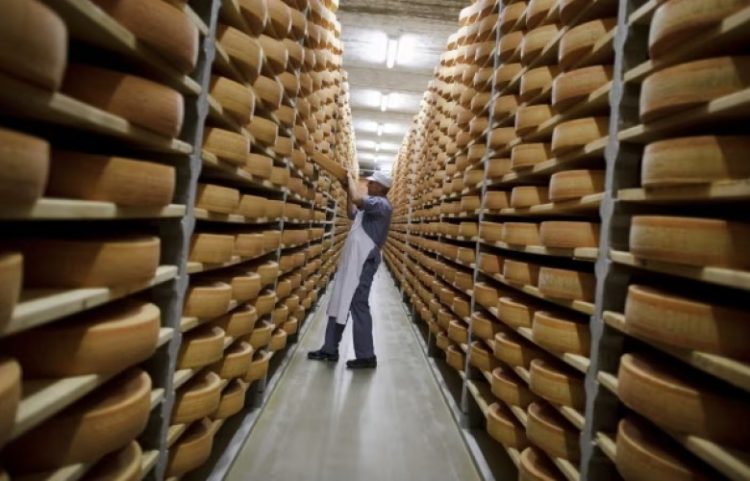 Zvicra në ‘shok’ pas tarifës 39 % nga SHBA