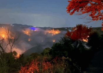 Zjarret në Kamenicë nuk ndalen, kryetari apelon për kujdes maksimal