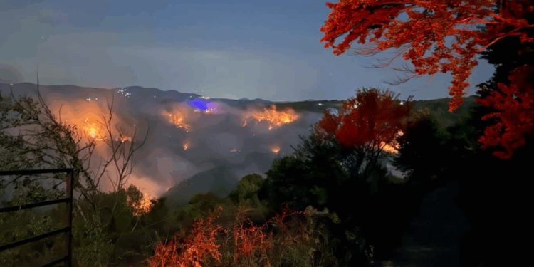 Zjarret në Kamenicë nuk ndalen, kryetari apelon për kujdes maksimal