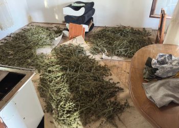 Prokuroria ndalon 10 personat e arr*estuar në Prishtinë për dr*ogë dhe ar*më