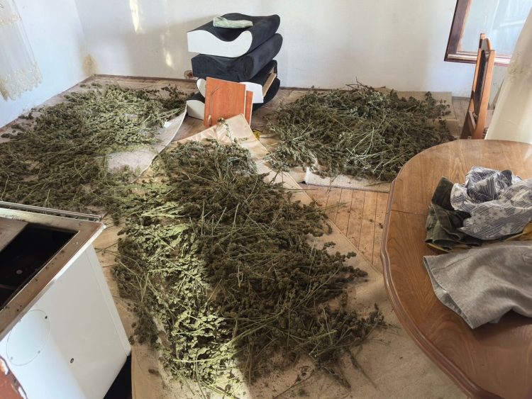 Prokuroria ndalon 10 personat e arr*estuar në Prishtinë për dr*ogë dhe ar*më